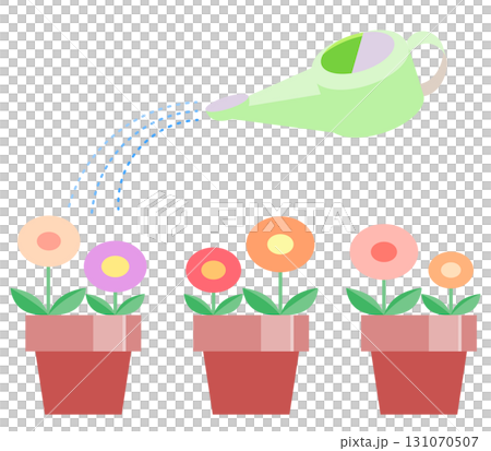 三つ並んだ丸い花の鉢植えにジョウロで水をあげているイラスト 131070507
