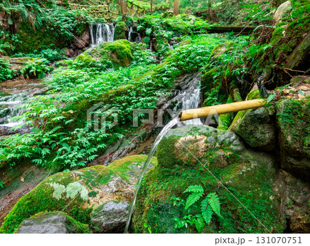 若狭瓜割名水公園 131070751