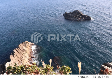 海に立つ双岩 ― 草原越しに望む静寂の風景 131071640