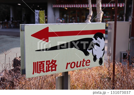 カワウソが案内する道 ― ゆるかわ順路サイン カワウソが案内する道 ― ゆるかわ順路サイン 131073037