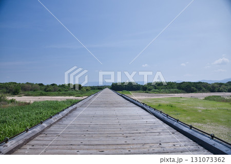 京都　木津川に架かる流れ橋2 131073362