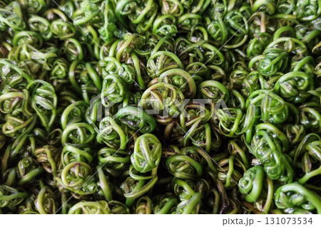 Close-up of paku midin or bidin fern, a traditional and popular vegetable in Sarawak, being sold in market stall 131073534