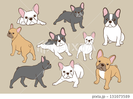 フレンチブルドッグのまとめイラストセット 131073589