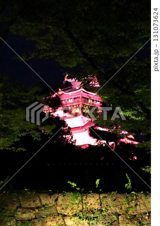 ライトアップされた夜の大阪城 131073624