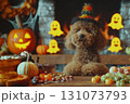 Poodle Dog Dressed for Halloween 131073793