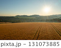 Aerial view with ripe  wheat fields at sunrise in the German countryside 131073885