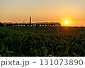 Passengers train traveling at sunrise through agricultural fields in Germany 131073890