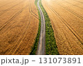 Ripe wheat fields, drone aerial view at sunrise, in Germany 131073891
