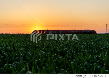 Train traveling at sunrise through agricultural fields in Germany 131073894