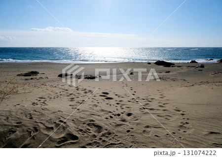 愛知県田原市_恋路ヶ浜4_2024年12月 131074222