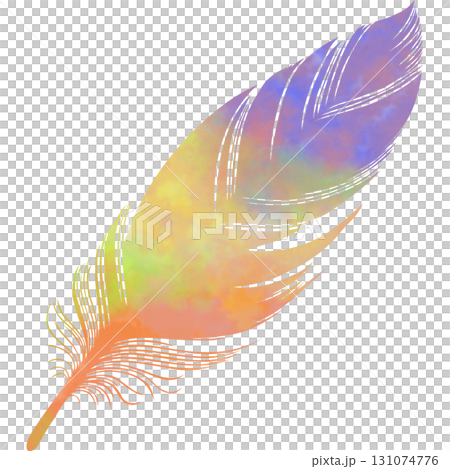 美麗的水彩鳥羽毛圖示圖像的插圖 美麗的水彩鳥羽毛圖示圖像的插圖 131074776