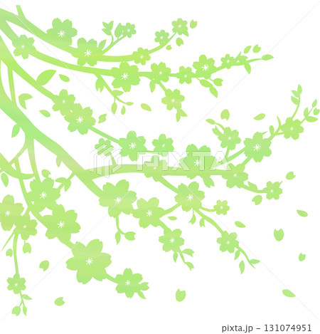 綺麗な水彩模様の桜の木のアイコンのイメージのイラスト 綺麗な水彩模様の桜の木のアイコンのイメージのイラスト 131074951