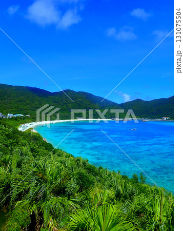 沖縄・渡嘉敷島・阿波連ビーチ 131075504