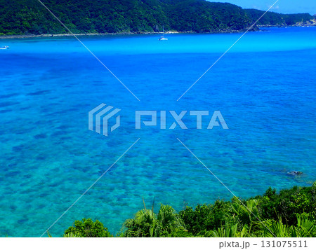 沖縄・渡嘉敷島・阿波連ビーチ 131075511