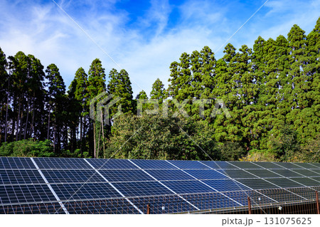 太陽光パネル 太陽光パネル 131075625
