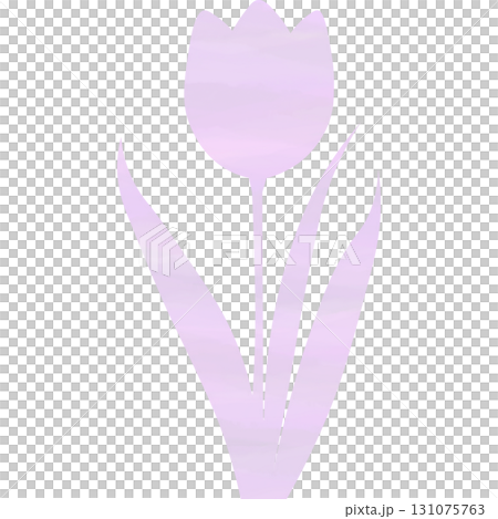 美麗的水彩鬱金香圖示圖像的插圖 131075763