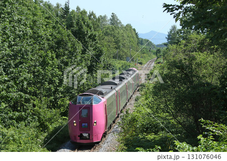 キハ261系はまなす編成　はまなす編成　特急サロベツ 131076046