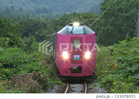 キハ261系はまなす編成　はまなす編成　特急サロベツ 131076055