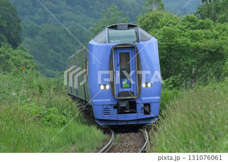 緑の中を駆ける特急サロベツ　特急サロベツ　宗谷本線 131076061