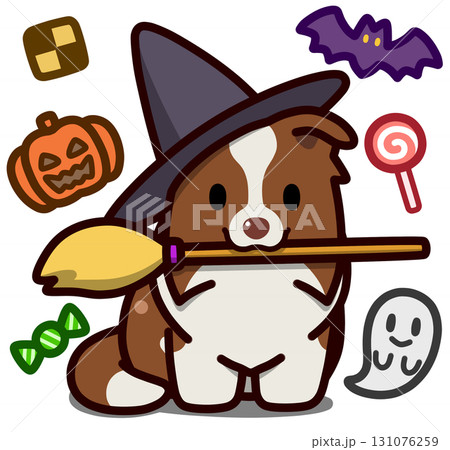 ハロウィン仮装のチョコカラーのボーダーコリー 131076259