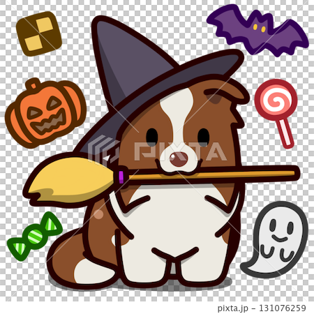 ハロウィン仮装のチョコカラーのボーダーコリー 131076259