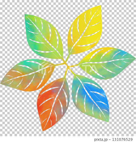 美麗的水彩葉子圖示圖像的插圖 美麗的水彩葉子圖示圖像的插圖 131076529
