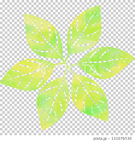 綺麗な水彩模様の葉っぱのアイコンのイメージのイラスト 131076530