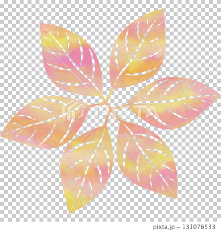 美麗的水彩葉子圖示圖像的插圖 131076533