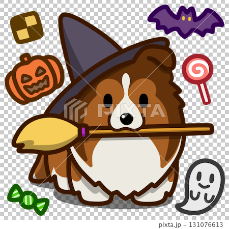 Sable Sheltie or Rough Collie in Halloween costume Sable Sheltie or Rough Collie in Halloween costume 131076613