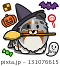 ハロウィン仮装のブルーマールのシェルティまたはラフコリー 131076615