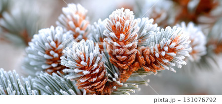 Frosted pine cones on snowy branch create serene winter scene, evoking magic of Christmas and beauty of nature in winter Frosted pine cones on snowy branch create serene winter scene, evoking magic of Christmas and beauty of nature in winter 131076792