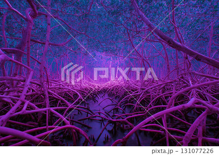 Thai style wallpaper, Mangrove roots stretch infinitely in surreal fractal pattern illuminated by blue and pink light, creating mysterious and enchanting tropical forest atmosphere Thai style wallpaper, Mangrove roots stretch infinitely in surreal fractal pattern illuminated by blue and pink light, creating mysterious and enchanting tropical forest atmosphere 131077226