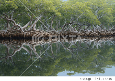 Thai style wallpaper, Mangrove roots stretch infinitely in surreal fractal pattern illuminated by blue and pink light, creating mysterious and enchanting tropical forest atmosphere Thai style wallpaper, Mangrove roots stretch infinitely in surreal fractal pattern illuminated by blue and pink light, creating mysterious and enchanting tropical forest atmosphere 131077230