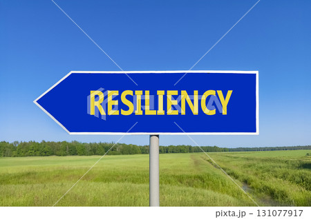 Resiliency symbol. Concept word Resiliency on beautiful blue road sign. Beautiful blue sky green grass and forest peaceful nature background. Business resiliency concept. Copy space. Resiliency symbol. Concept word Resiliency on beautiful blue road sign. Beautiful blue sky green grass and forest peaceful nature background. Business resiliency concept. Copy space. 131077917