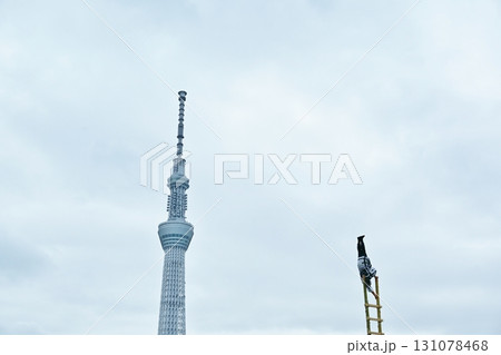 待乳山開山会 聖天まつり特別記念祭の梯子乗り　東京 131078468