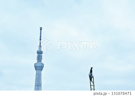 待乳山開山会 聖天まつり特別記念祭の梯子乗り　東京 131078471