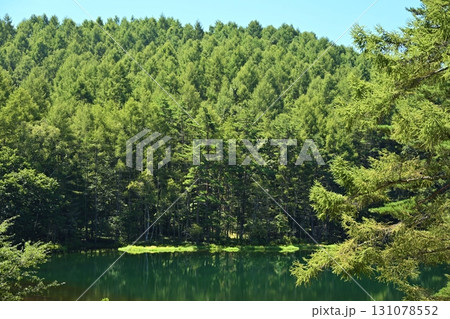夏の朝の御射鹿池 長野 夏の朝の御射鹿池 長野 131078552