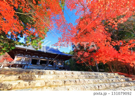 【京都府】高雄山 神護寺参道の紅葉（金堂） 131079092