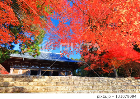 【京都府】高雄山 神護寺参道の紅葉（金堂） 131079094