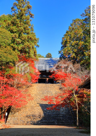【京都府】高雄山 神護寺参道の紅葉(金堂) 【京都府】高雄山 神護寺参道の紅葉(金堂) 131079096