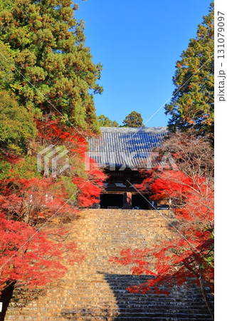 【京都府】高雄山 神護寺参道の紅葉(金堂) 【京都府】高雄山 神護寺参道の紅葉(金堂) 131079097