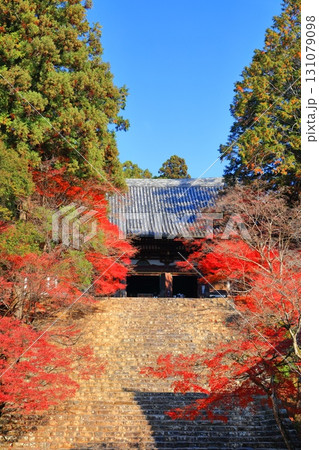 【京都府】高雄山 神護寺参道の紅葉(金堂) 【京都府】高雄山 神護寺参道の紅葉(金堂) 131079098
