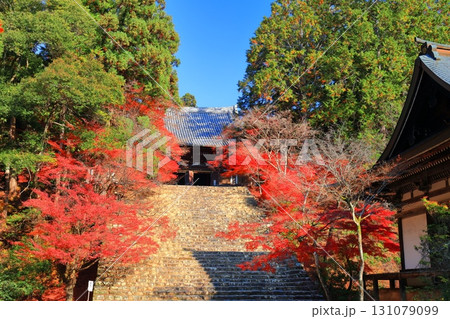 【京都府】高雄山 神護寺参道の紅葉（金堂） 131079099