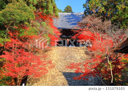 【京都府】高雄山 神護寺参道の紅葉(金堂) 【京都府】高雄山 神護寺参道の紅葉(金堂) 131079103