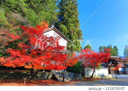 【京都府】高雄山 神護寺参道の紅葉(和気清麻呂霊廟) 【京都府】高雄山 神護寺参道の紅葉(和気清麻呂霊廟) 131079107