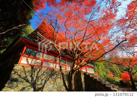 【京都府】高雄山 神護寺参道の紅葉（多宝塔） 131079112