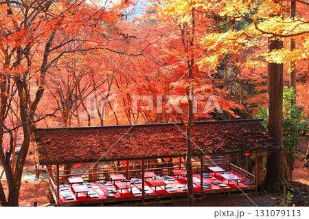 【京都府】高雄山 神護寺参道の紅葉 131079113