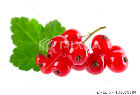 Red currant isolated on white background. Redcurrant or Ribes rubrum ripe berries with green leaves. 131079204