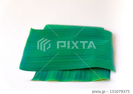 Fresh Green leaves of banana tree on background. Fresh Green leaves of banana tree on background. 131079375