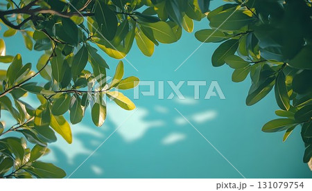 Lush Green Leaves Against a Bright Blue Sky with Shadow Play 131079754